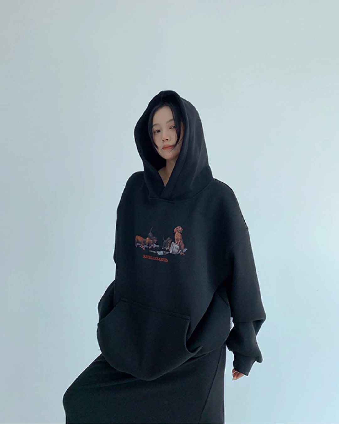 Dog Print Sweatshirt Hoodie YLS0977