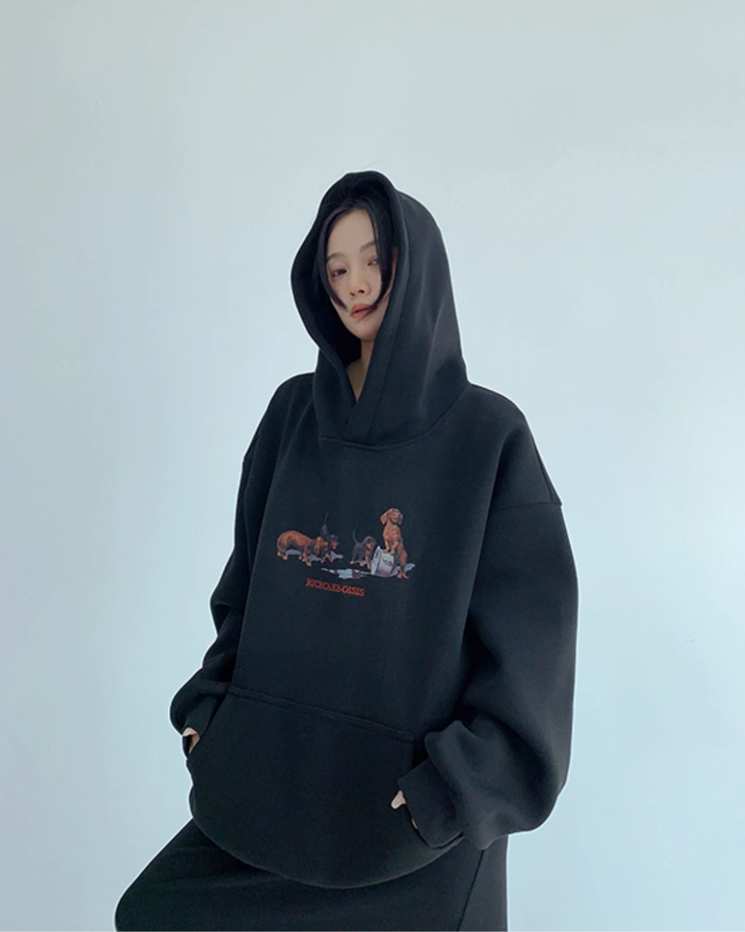 Dog Print Sweatshirt Hoodie YLS0977