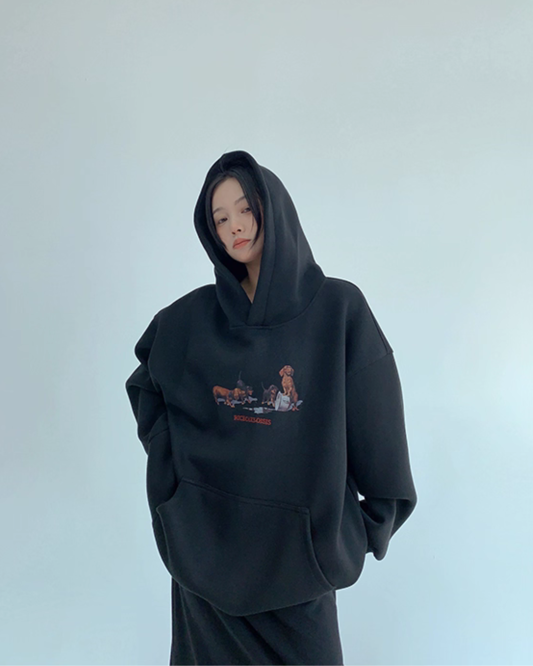 Dog Print Sweatshirt Hoodie YLS0977