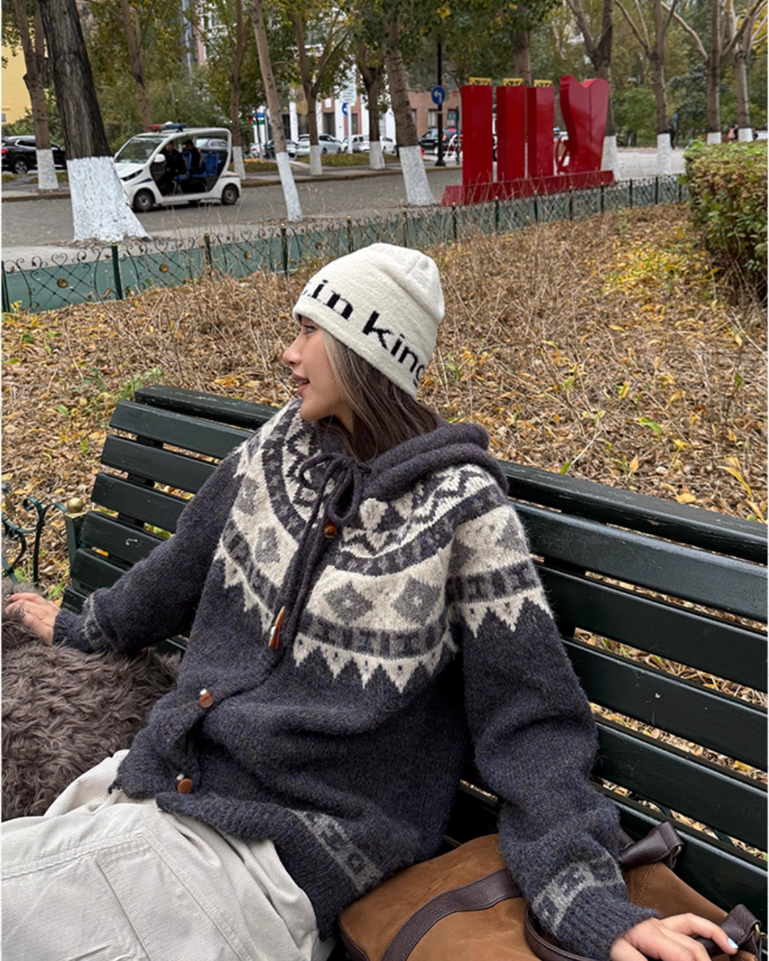 Nordic Pattern Hood Cardigan CYE0011