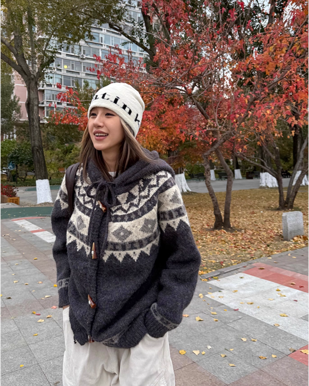 Nordic Pattern Hood Cardigan CYE0011