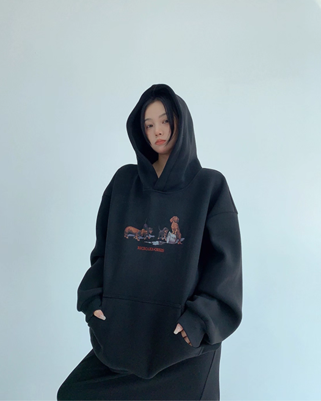 Dog Print Sweatshirt Hoodie YLS0977