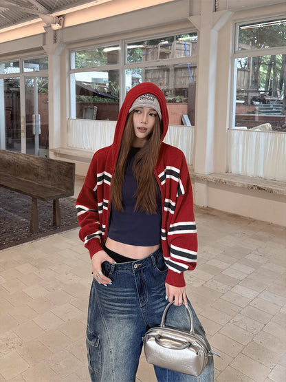 Striped Knit Hoodie WWP0004