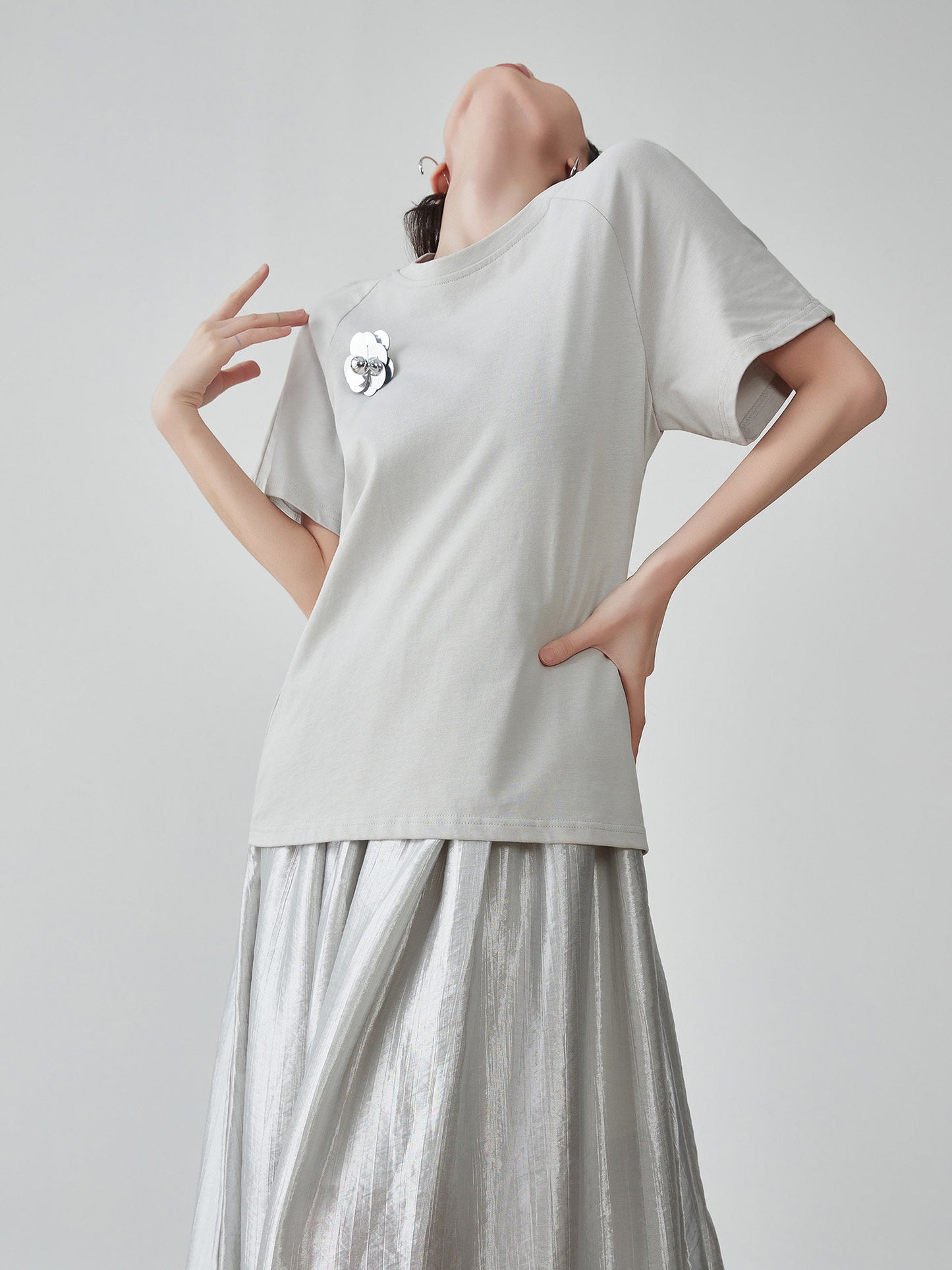 Metallic Silver Docking Dress FER0243